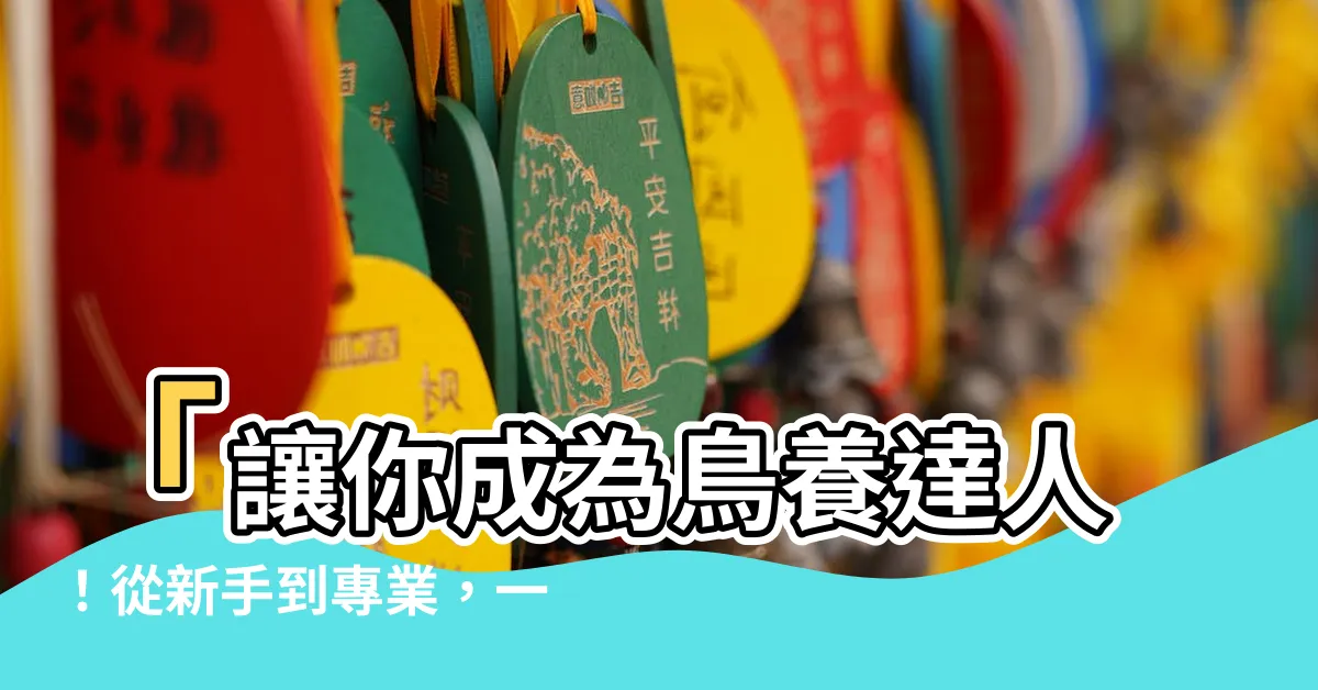 【鳥養】「讓你成為鳥養達人！從新手到專業，一次搞定養鳥第一步」