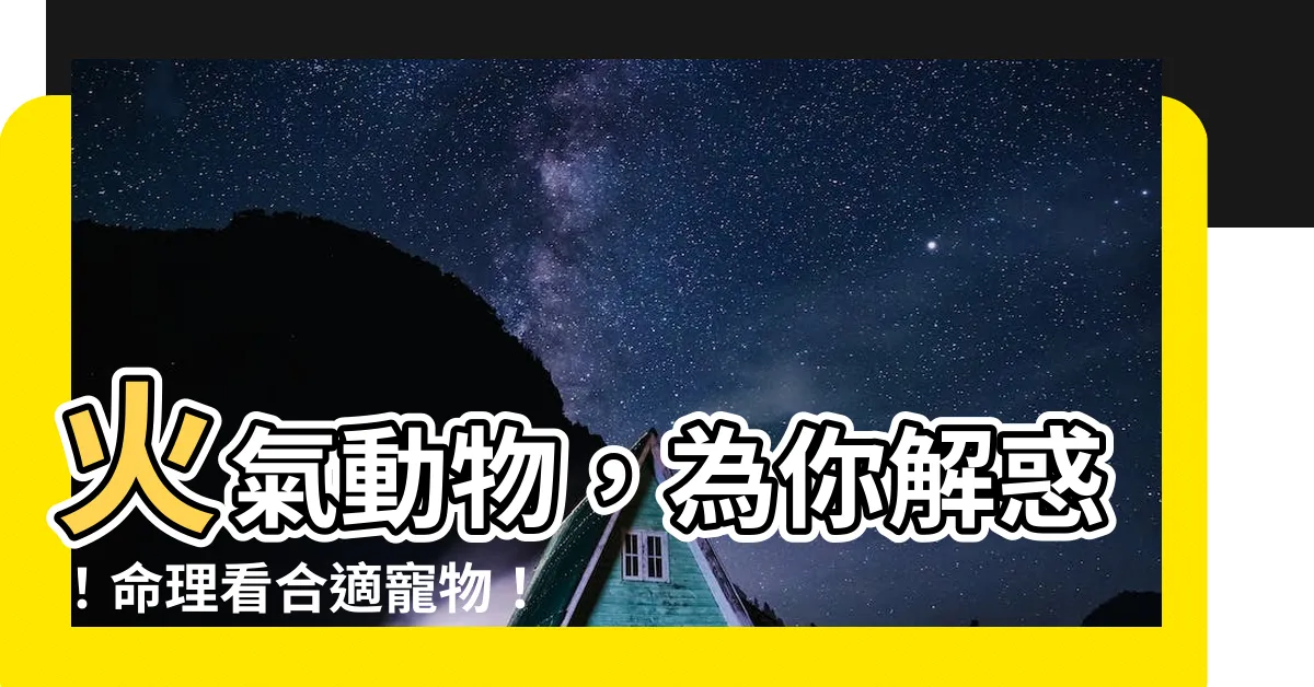 【屬火動物】火氣動物,為你解惑!命理看合適寵物!
