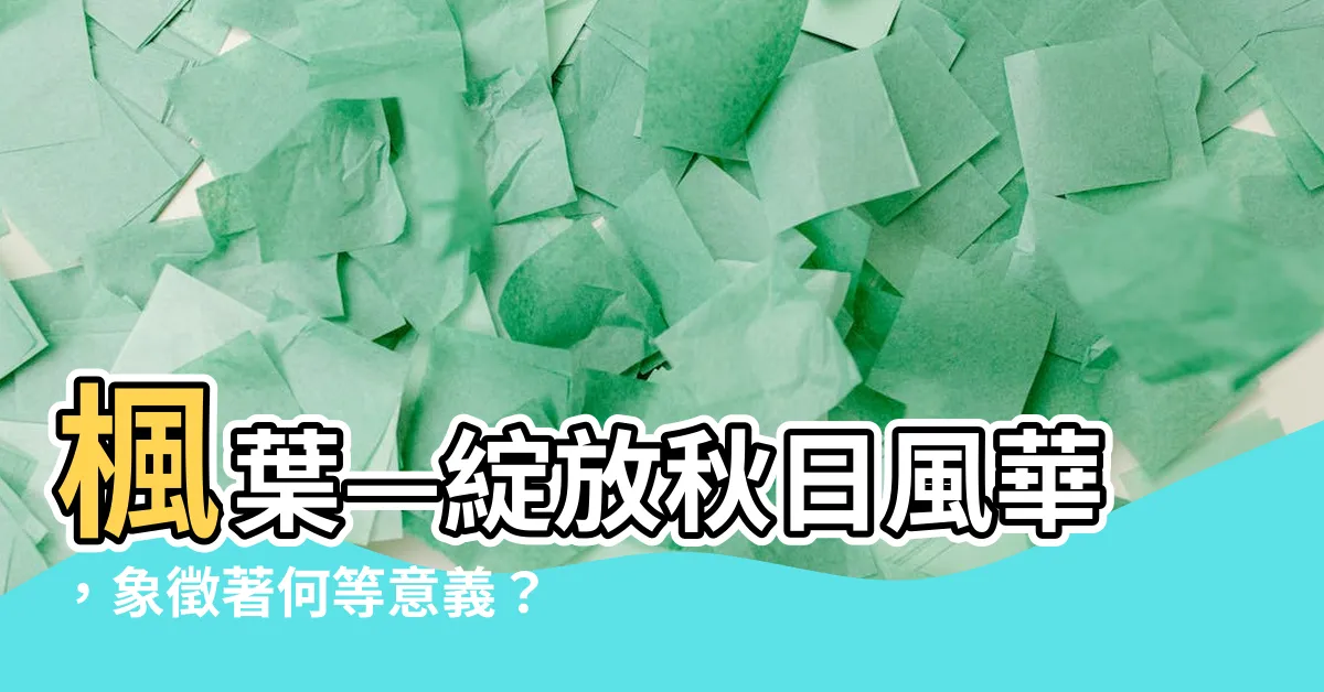 【楓葉象徵】楓葉—綻放秋日風華，象徵著何等意義？