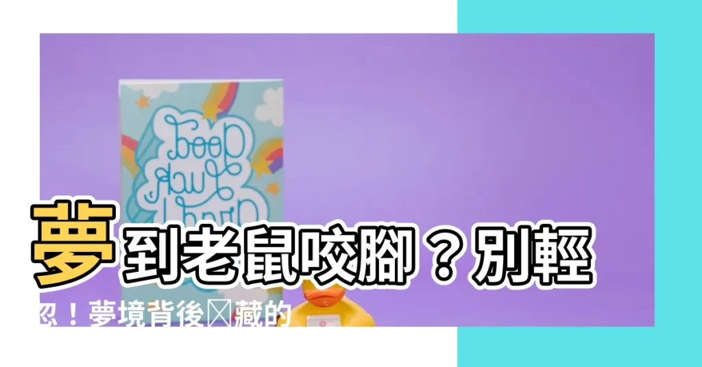 【夢到老鼠咬腳】夢到老鼠咬腳？別輕忽！夢境背後隱藏的三大警訊
