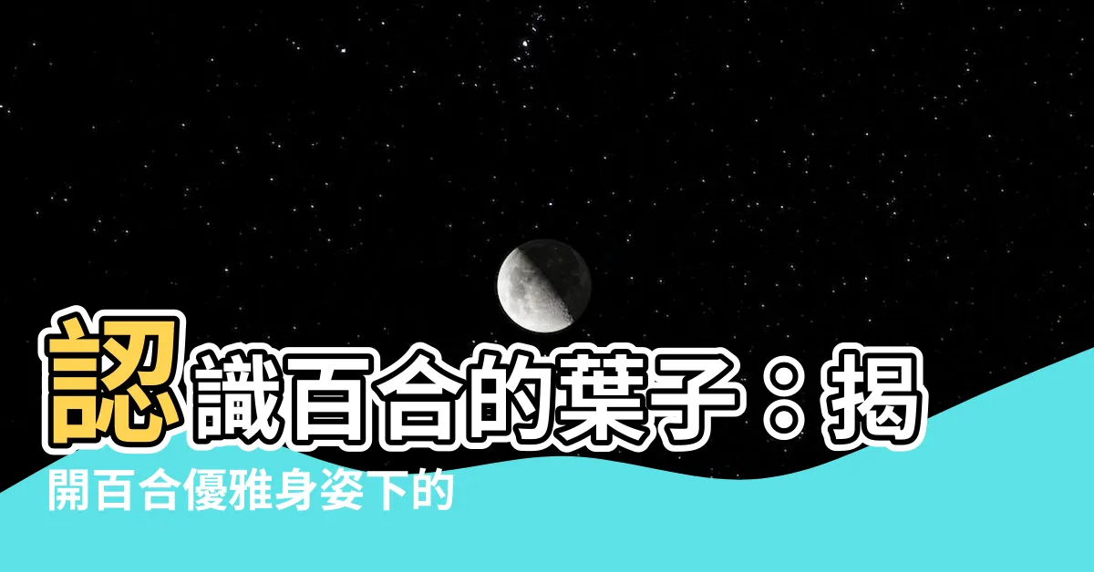 【百合 葉】認識百合的葉子：揭開百合優雅身姿下的綠色秘密