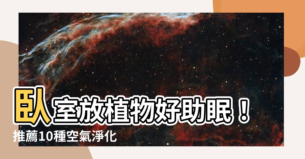 【卧室放植物】卧室放植物好助眠！推薦10種空氣淨化植物提升睡眠品質