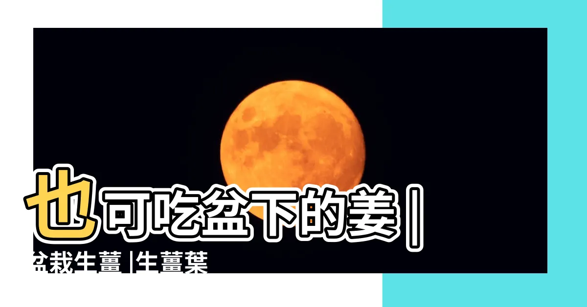 【生薑葉子】也可吃盆下的姜 |盆栽生薑 |生薑葉子可以吃嗎 |