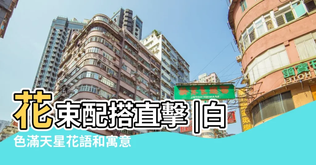 花束配搭直擊 |白色滿天星花語和寓意 |送花必讀 |【白色滿天星花語和寓意】