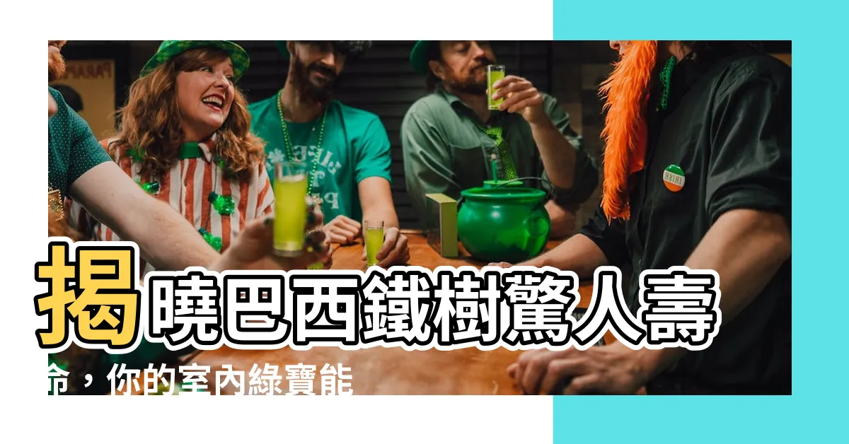 【巴西鐵樹壽命】揭曉巴西鐵樹驚人壽命，你的室內綠寶能陪伴你多久？