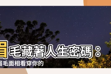 【眉毛面相】眉毛藏著人生密碼：從眉毛面相看穿你的個性與運勢！