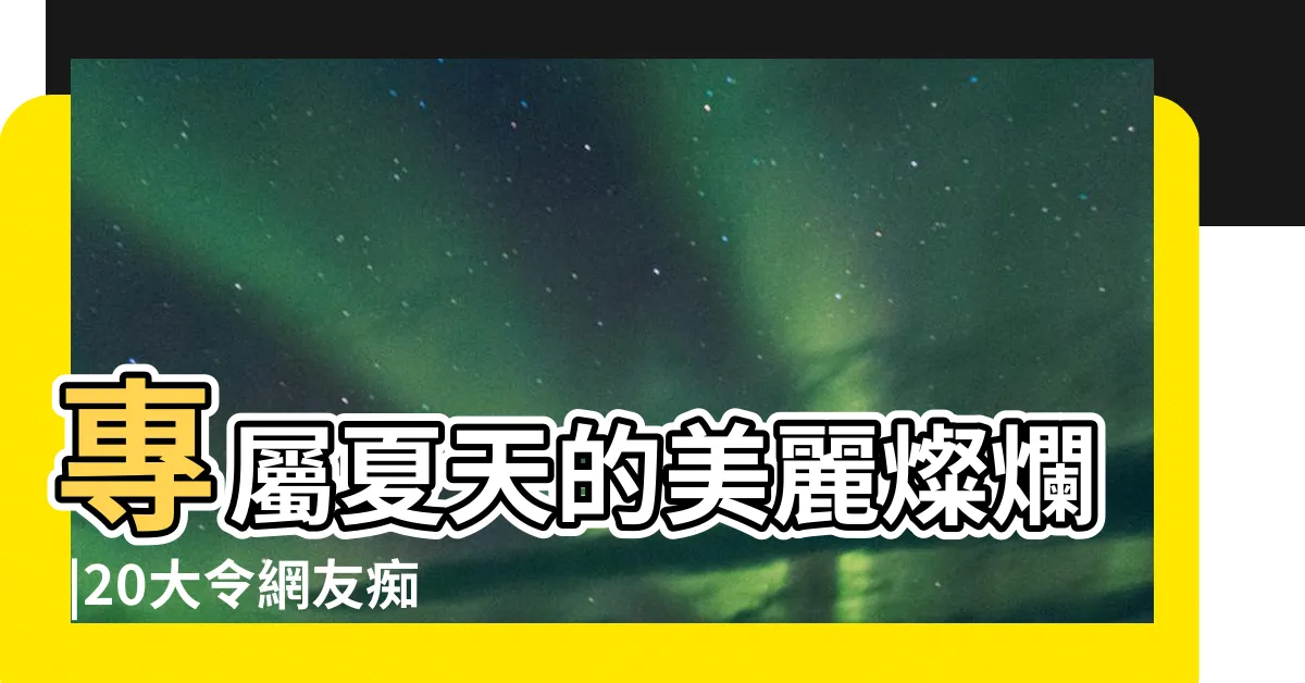 【南方魅力彩葉芋】專屬夏天的美麗燦爛 |20大令網友痴迷的夢幻彩葉芋 |觀葉植物 |