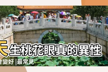 【杏眼和桃花眼圖片】天生桃花眼真的異性緣會變好 |最常見的4種眼型 |從眼型看桃花運 |