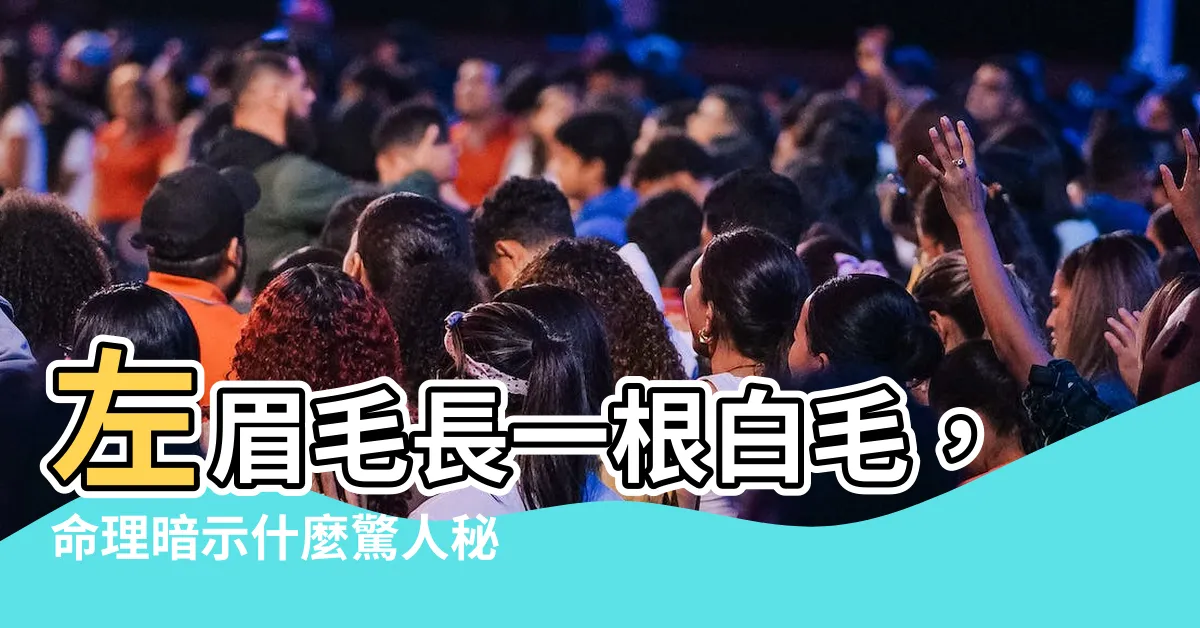 【左眉毛長一根白毛】左眉毛長一根白毛，命理暗示什麼驚人秘密？