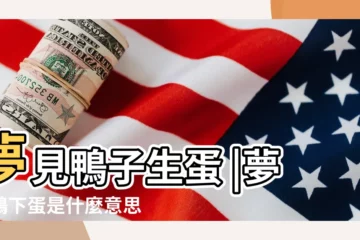 【懷孕夢見鴨下蛋】夢見鴨子生蛋 |夢見鴨下蛋是什麼意思 |