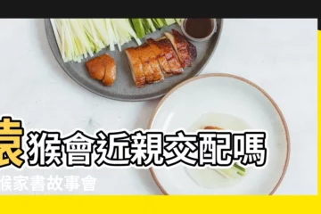 【猴子會和自己的女兒交配嗎】猿猴會近親交配嗎 |猿猴家書故事會 |由於台灣獼猴屬於 |