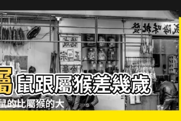 【屬猴男和屬鼠差幾歲】屬鼠跟屬猴差幾歲 |屬鼠的比屬猴的大幾歲 |女鼠男猴差幾歲 |