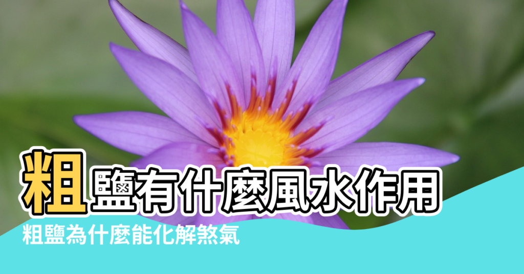 【粗鹽風水】粗鹽有什麼風水作用 |粗鹽為什麼能化解煞氣 |粗鹽在風水中的化煞避邪妙用 |