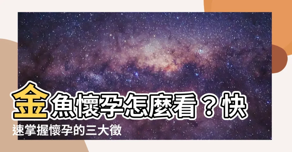 【金魚懷孕怎麼看】金魚懷孕怎麼看？快速掌握懷孕的三大徵兆！
