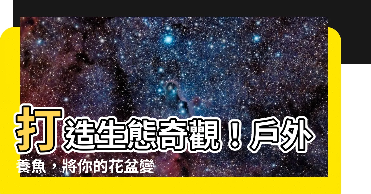 【户外養魚】打造生態奇觀！户外養魚，將你的花盆變身懶人缸！