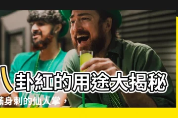 【八卦紅的用途】八卦紅的用途大揭秘！滿身刺的仙人掌，竟能清熱解毒！