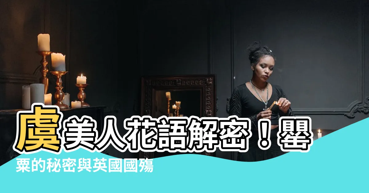 【虞美人 花語】虞美人花語解密！罌粟的秘密與英國國殤紀念日的意涵