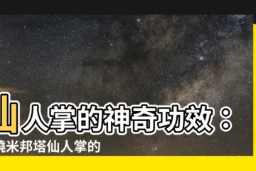 【仙人掌功能】仙人掌的神奇功效：揭曉米邦塔仙人掌的健康寶藏