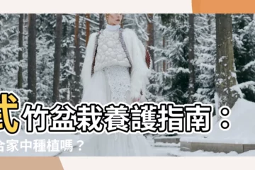 【武竹盆栽】武竹盆栽養護指南：適合家中種植嗎？