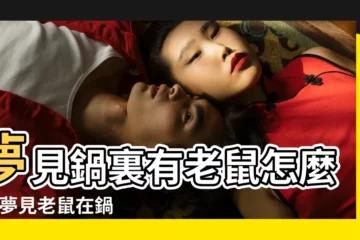 【周公解夢大全周公解夢鍋老鼠】夢見鍋裏有老鼠怎麼樣 |夢見老鼠在鍋裡 |夢見鍋裏有老鼠是什麼意思 |