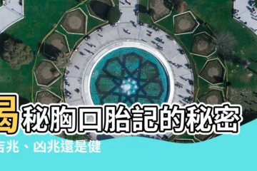 【胸口胎記】揭秘胸口胎記的秘密：吉兆、凶兆還是健康警訊？