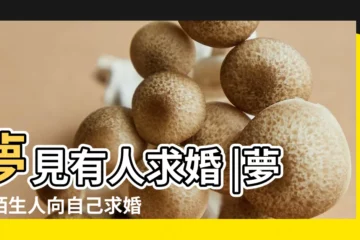 【夢見不熟悉的人求婚】夢見有人求婚 |夢見陌生人向自己求婚 |夢見和陌生人談戀愛 |