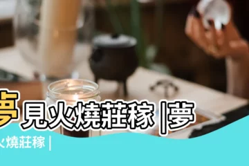 【夢見火燒莊稼】夢見火燒莊稼 |夢見火燒莊稼 |