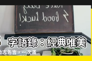 【8字語錄】8字語錄：經典唯美、勵志名言，一次滿足