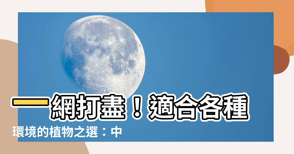 【中性植物】一網打盡！適合各種環境的植物之選：中性植物大集合