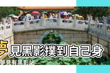 【夢到黑影人在牀邊撲來】夢見黑影撲到自己身上 |夢見有黑影站在牀邊 |夢見牀邊有黑影啥意思 |