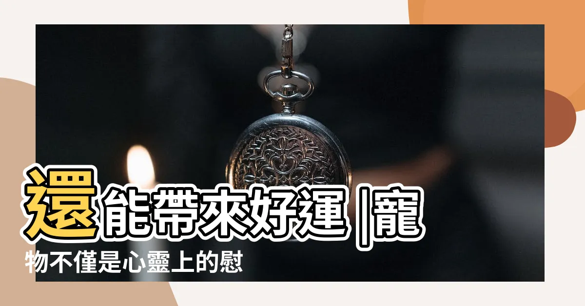 【養貓改運】還能帶來好運 |寵物不僅是心靈上的慰藉 |養寵物可以改運嗎 |