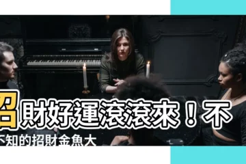 【招財魚有哪些】招財好運滾滾來！不可不知的招財金魚大全