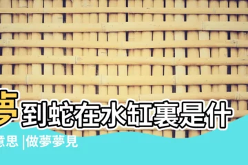 【夢見家裏水缸裏有蛇】夢到蛇在水缸裏是什麼意思 |做夢夢見水池裏有蛇 |夢見蛇在水缸裏 |