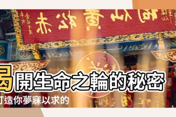 【生命之輪】揭開生命之輪的秘密：打造你夢寐以求的人生！