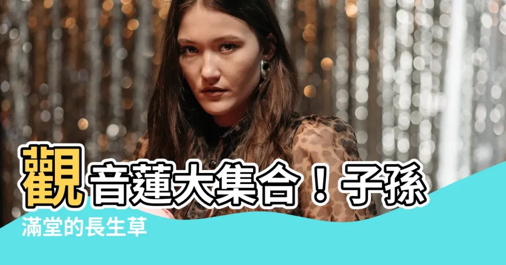 【觀音蓮 多肉】觀音蓮大集合！子孫滿堂的長生草