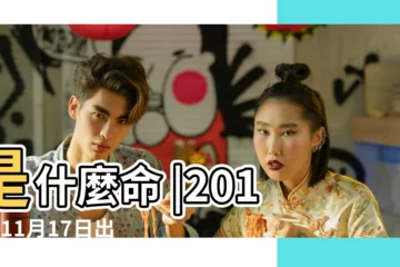 【2015年11月17日屬相】是什麼命 |2015年11月17日出生的人命好嗎 |國曆2015年11月17日是農曆幾月幾日 |