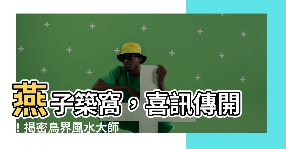 【燕子築窩】燕子築窩，喜訊傳開！揭密鳥界風水大師的秘密