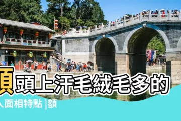 【額頭汗毛多面相】額頭上汗毛絨毛多的女人面相特點 |額頭上有這條 |丈夫運勢好 |