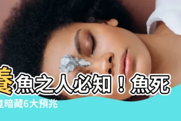 【魚死了預兆】養魚之人必知！魚死了竟暗藏6大預兆