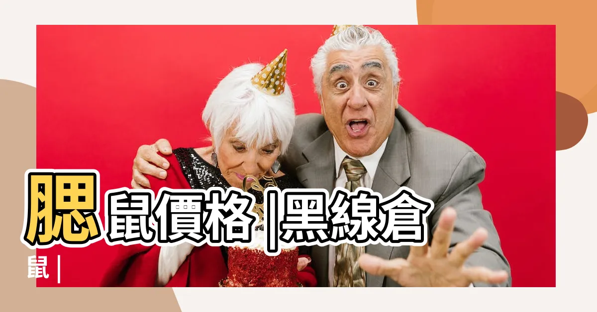【腮鼠】腮鼠價格 |黑線倉鼠 |