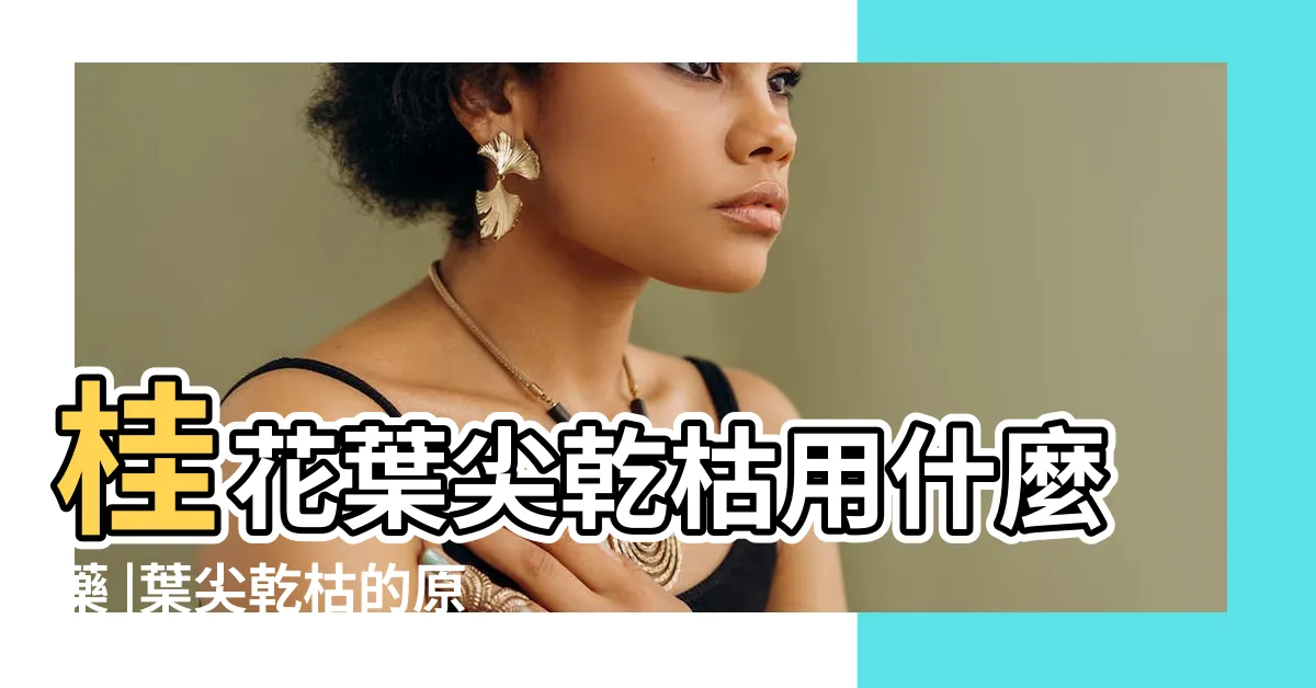 【桂花枯葉病用藥】桂花葉尖乾枯用什麼藥 |葉尖乾枯的原因及解決方法 |桂花得了枯葉病 |