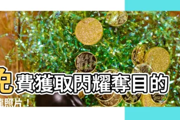 【金龍照片】免費獲取閃耀奪目的金龍照片！