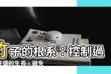 【竹子的根系】竹子的根系：控制過於旺盛的生長，避免破壞農田和地面