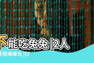 【三月份逮野兔】不能吃兔兔 |2人被逮現場曝光 |打野兔加餐被捕 |