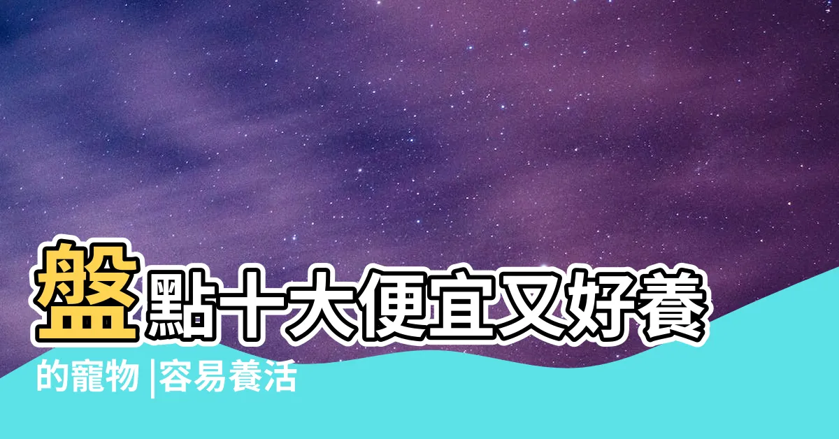 【什麼寵物最好養】盤點十大便宜又好養的寵物 |容易養活的寵物有哪些 |人氣寵物 |