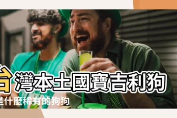 【吉利狗品種】台灣本土國寶吉利狗，是什麼稀有的狗狗品種？報時光報給你聽！