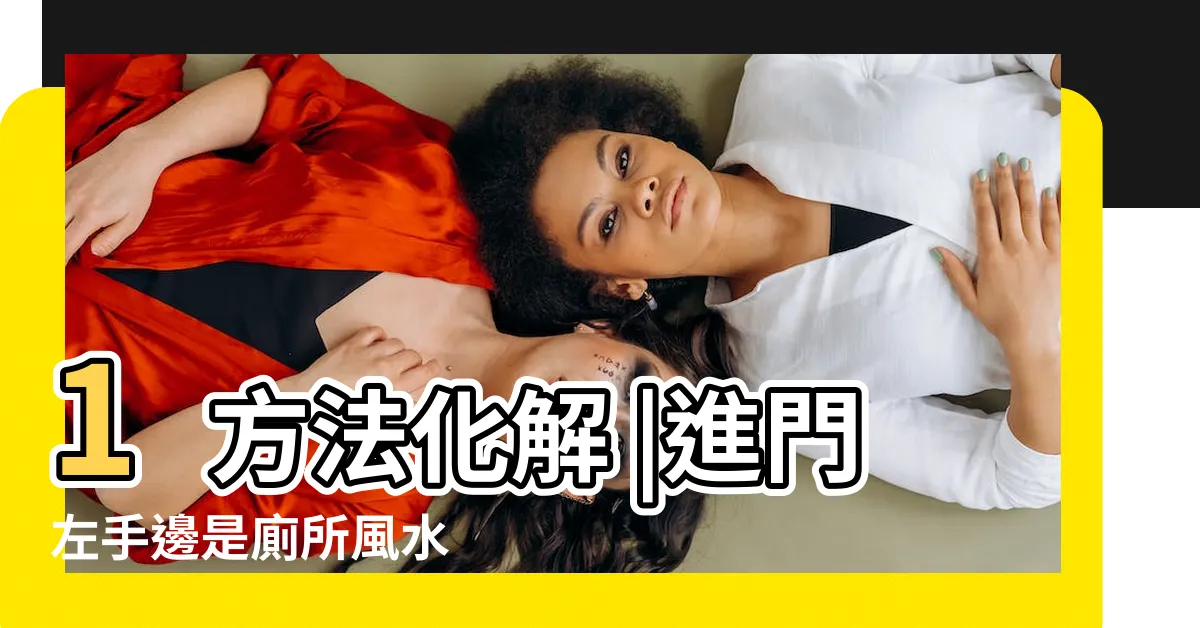 【開門見廁所化解】1方法化解 |進門左手邊是廁所風水 |財神爺看到都掉頭走 |