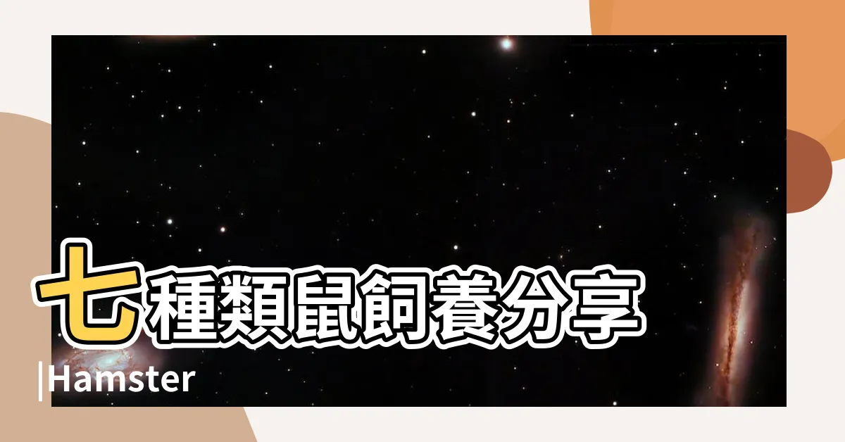 【寵物 鼠】七種類鼠飼養分享 |Hamster |我適合養什麼鼠 |