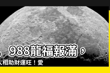 【1988 龍】1988龍福報滿，貴人相助財運旺！愛情事業運勢全解析