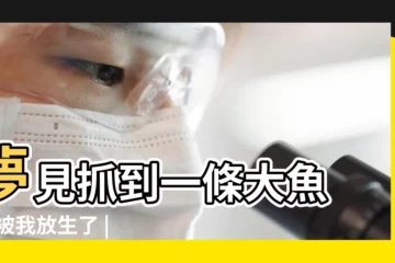 【夢見放生一條花魚】夢見抓到一條大魚 |又被我放生了 |夢見放生的魚回來 |
